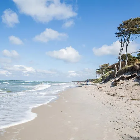 Seeschwalbe 55 Casa de Férias Fuhlendorf (Mecklenburg-Vorpommern)