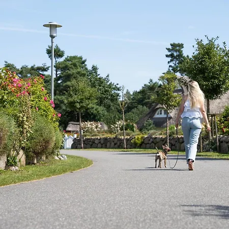 Casa de Férias Seeschwalbe 55 *